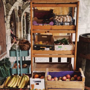 Fruits et légumes frais